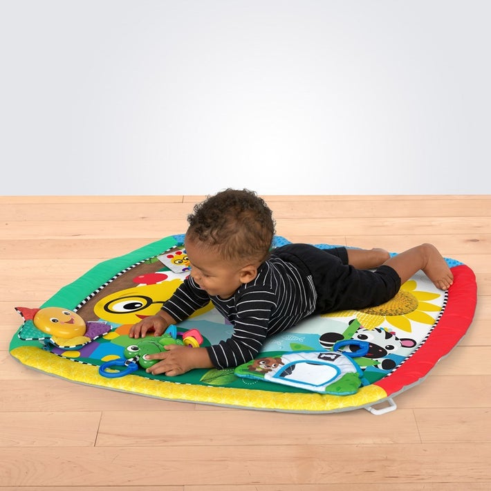 Baby Einstein Caterpillar Friends Playgym Play Gyms Baby Factory Baby Einstein Caterpillar Friends Playgym Play Gyms Baby Factory