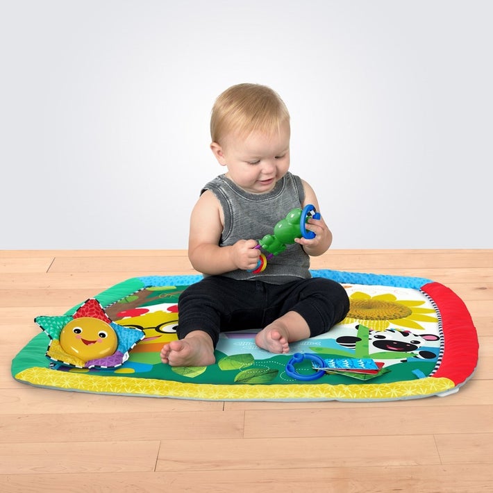 Baby Einstein Caterpillar Friends Playgym Play Gyms Baby Factory Baby Einstein Caterpillar Friends Playgym Play Gyms Baby Factory