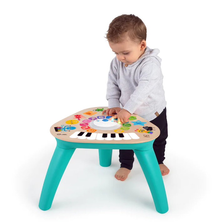 Baby einstein wooden toys deals