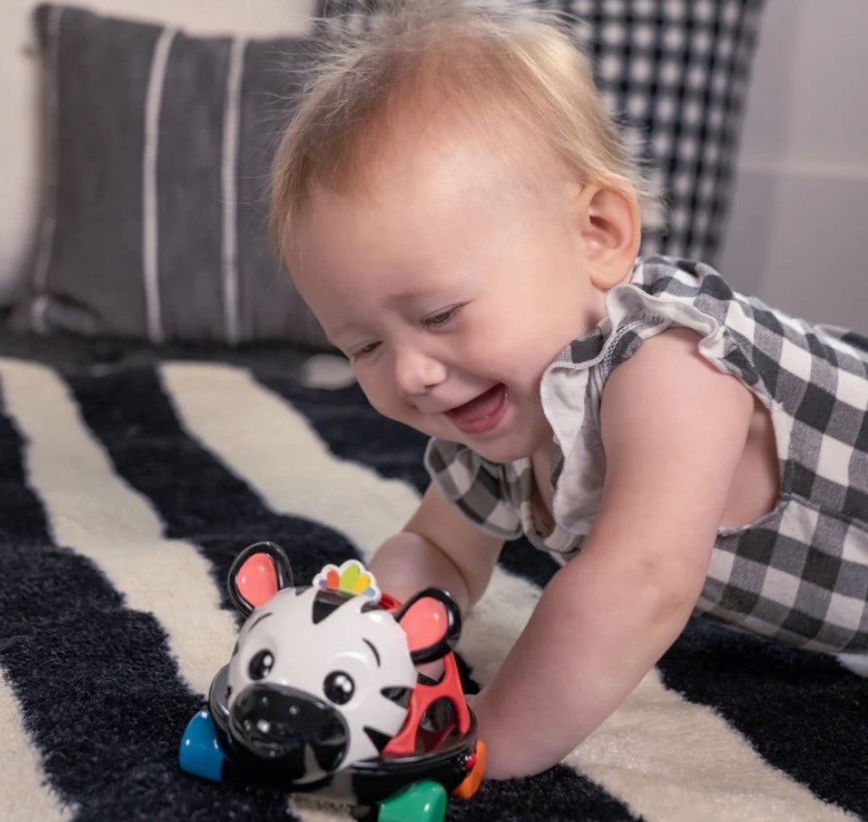 Shop Baby Einstein Oball Curious Car Zen Oball Toy Car & Rattle