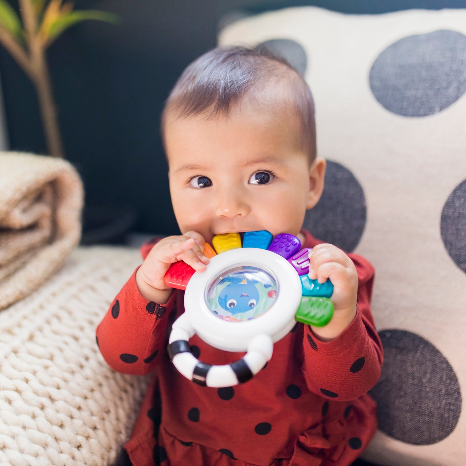 Baby Einstein Outstanding Opus Sensory Rattle and Teether Rattle