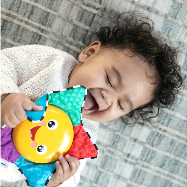 Baby Einstein Star Bright Symphony Take Along Toy Stroller Accessories Baby Factory