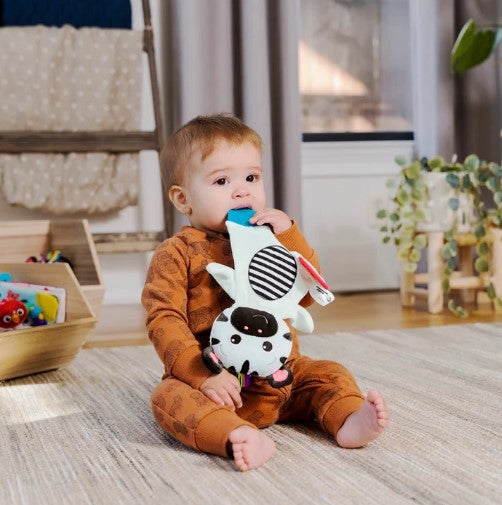 Baby Einstein Zen the Zebra Sensory Plush Teether Rattle & Teethers