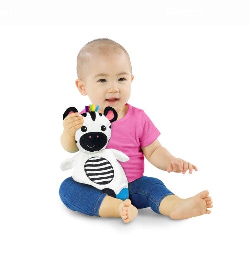Baby Einstein Zen the Zebra Sensory Plush Teether Rattle & Teethers