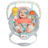 Bright Starts Whimsical Wild - Cradling Bouncer