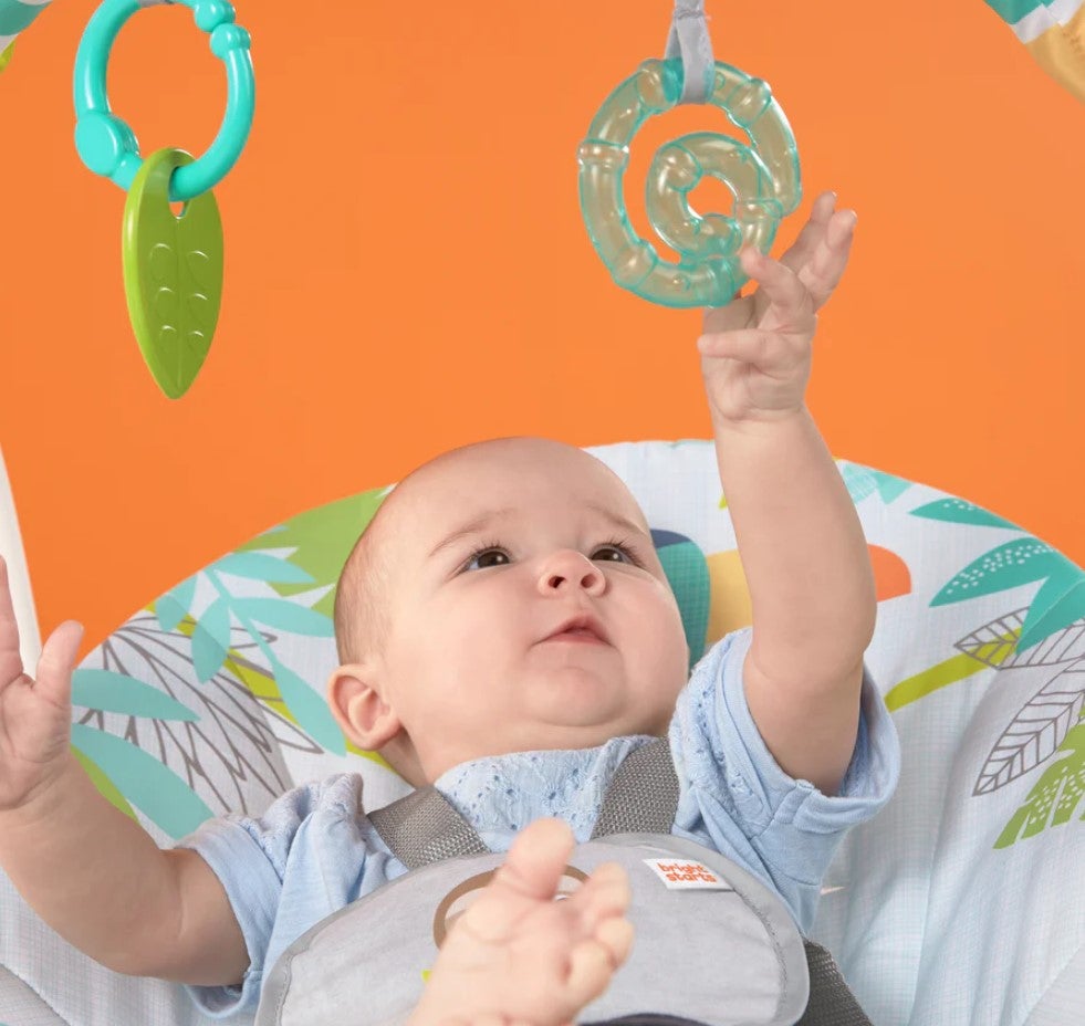 Bright Starts Rainforest Vibes Portable Swing Baby Swings Baby Factory