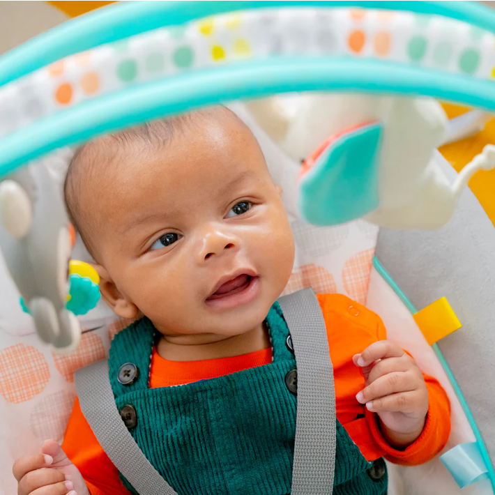 Bright Starts Whimsical Wild Portable Swing Baby Swings Baby