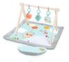 Disney Baby Winnie The Pooh Once Upon a Tummy Time Play Gym