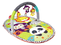 Activity gym best sale infantino