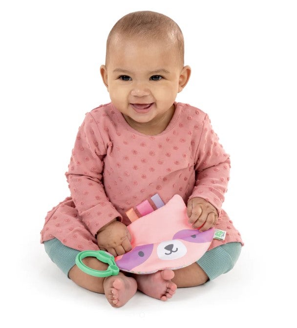 Ingenuity Crinklet Deni the Raccoon Activity Toys Baby Factory