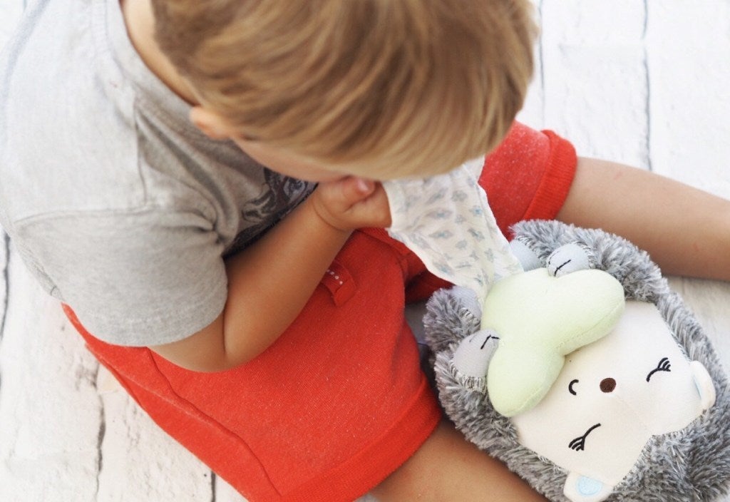 Summer Infant Little Heartbeats Soother Hedgehog Musical Toys Baby