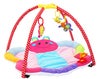 Redbox Butterfly Playgym SECONDS
